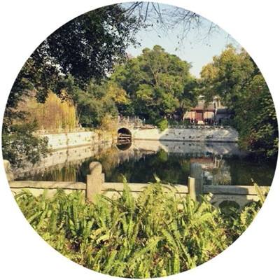 奇妙宝宝糖果工厂游戏下载